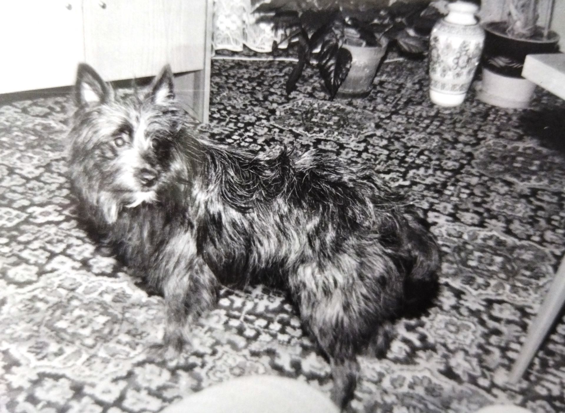 Bublinka